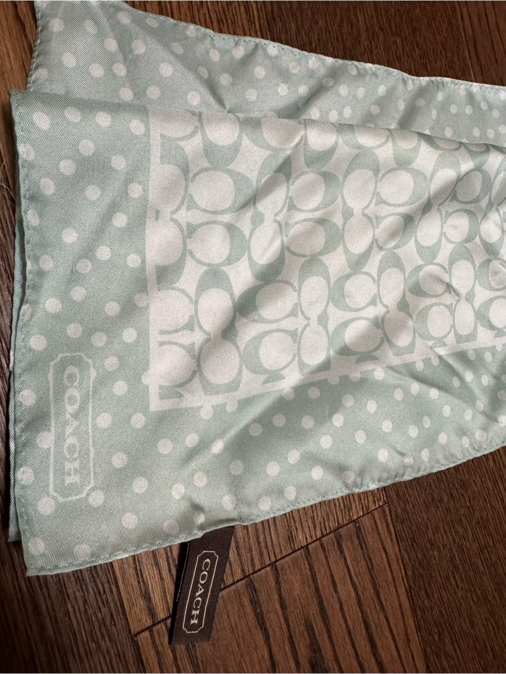 Coach Mint and White Logo Polka Dot silk Scarf
